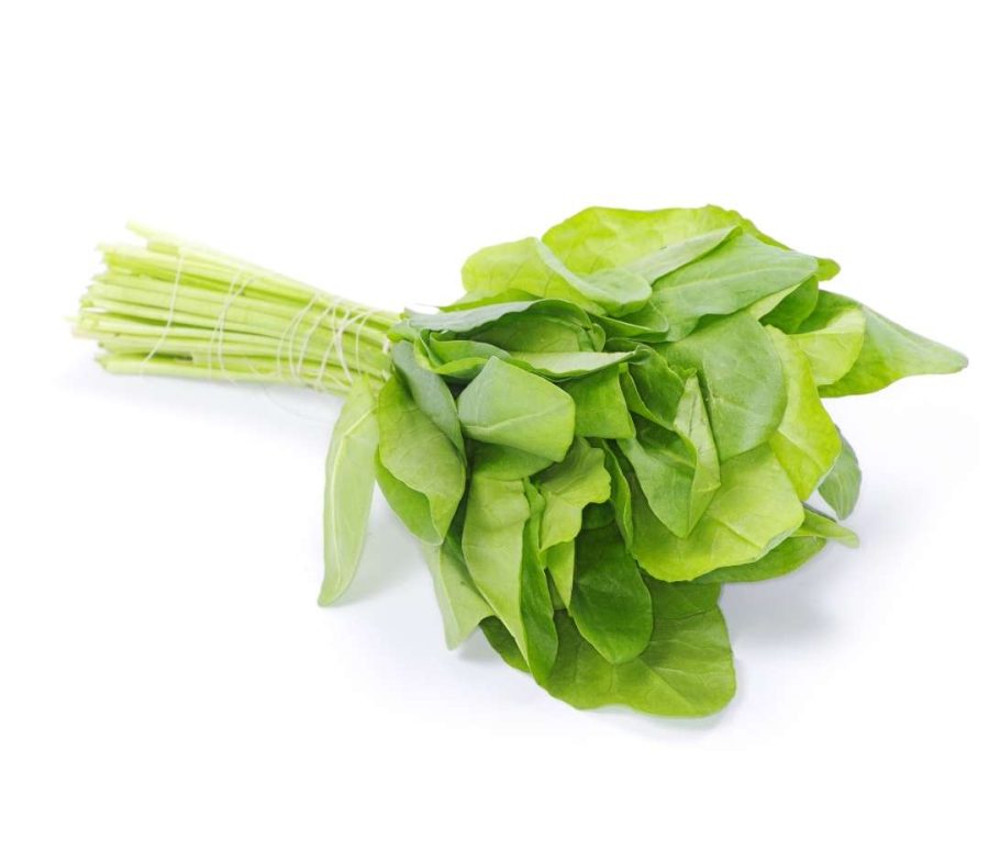 Kuzukulağı Kuzukulağı
